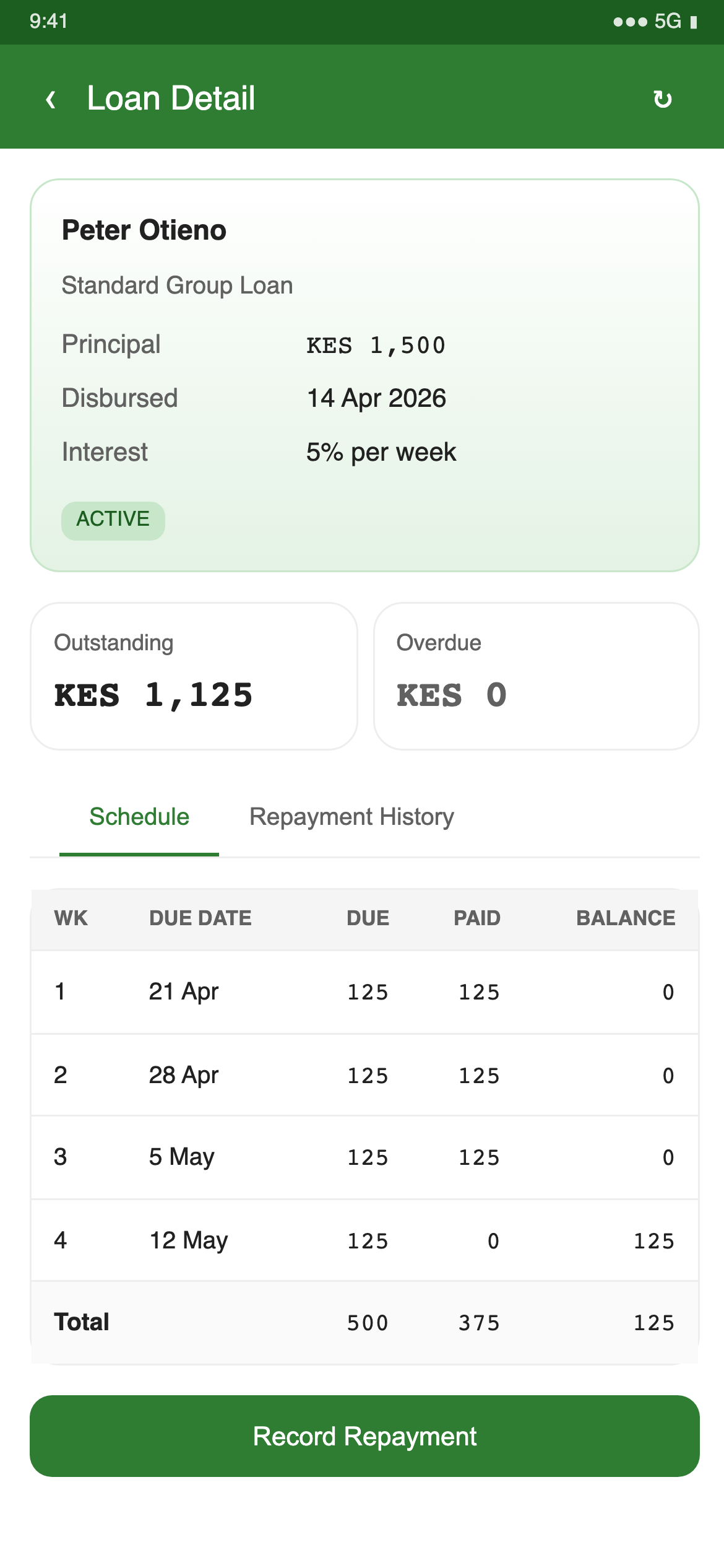 Loan detail