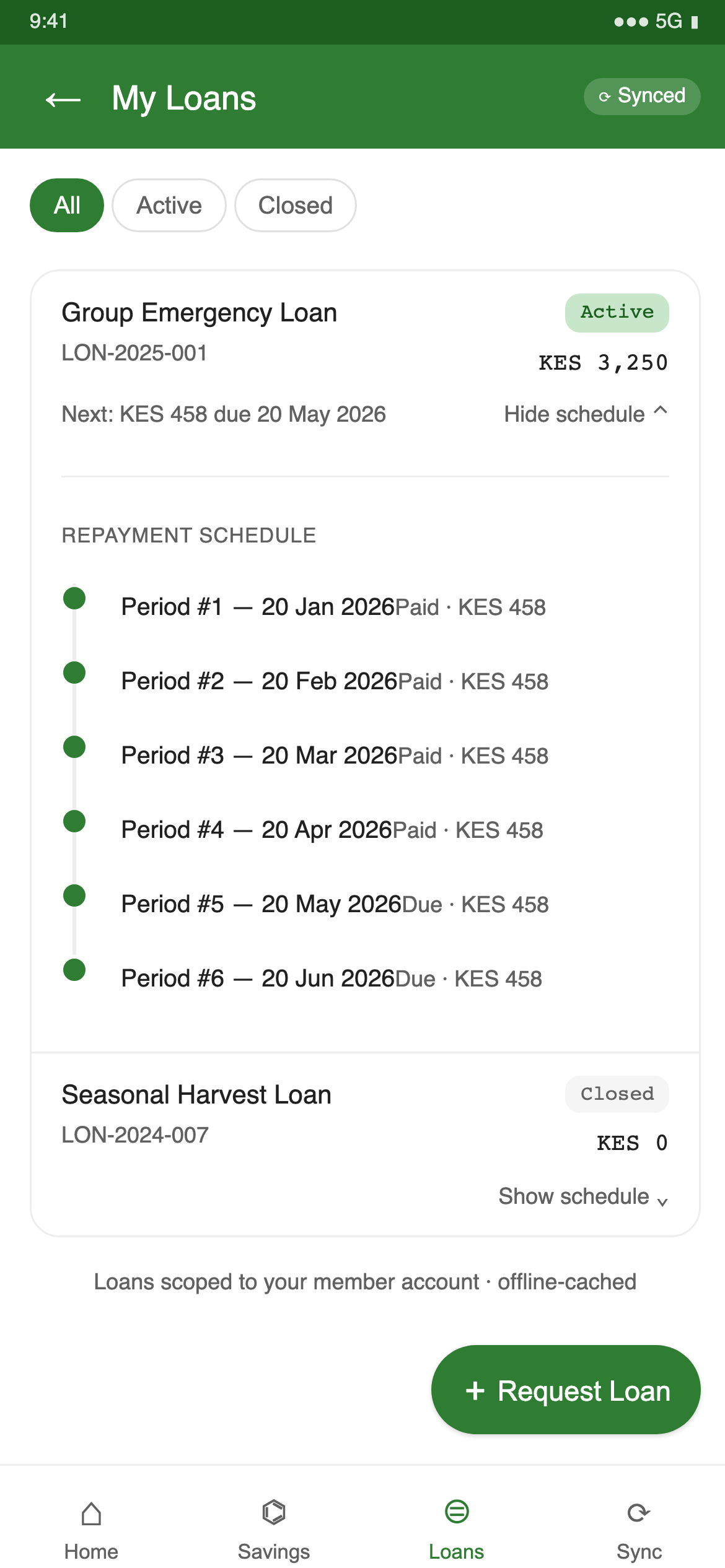 My loans